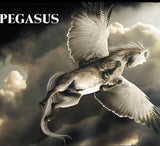 Het Pegasus Metalen Bouwpakket (Goud of Zilver) van SlimSpul nederland b.v. beeldt het mythische gevleugelde paard uit, sierlijk zwevend voor dramatische wolken; "PEGASUS" verschijnt vetgedrukt linksboven.