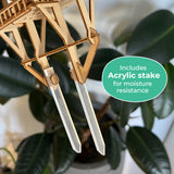 Close-up van de Tiny Treehouses Europe Tropical Lookout, een houten plantensteun met twee doorzichtige acryl palen voor vochtbestendigheid. Op het etiket staat: Inclusief acrylstokken. Perfect voor huizen in de jungle, groene bladeren op de achtergrond.