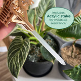 Een hand houdt een houten plantenlabel van Temple of Joy en een acrylpaal van Tiny Treehouses Europe vast; daarachter verschijnen groene planten in zwarte potten. Op het label staat: "Inclusief acrylpaal voor vochtbestendigheid.