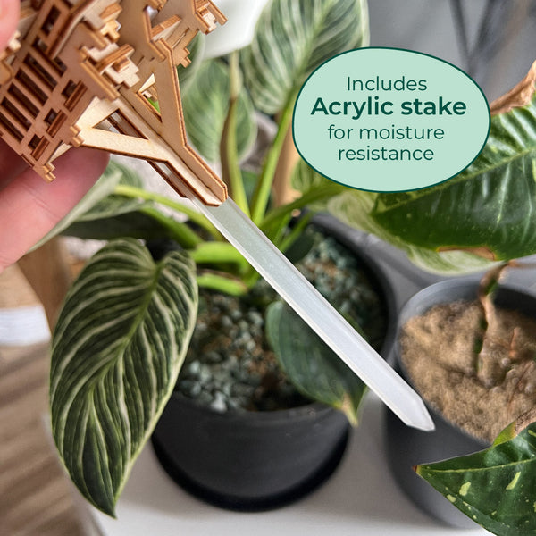 Een hand houdt een houten plantenlabel van Temple of Joy en een acrylpaal van Tiny Treehouses Europe vast; daarachter verschijnen groene planten in zwarte potten. Op het label staat: "Inclusief acrylpaal voor vochtbestendigheid.