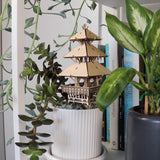 De Temple of Serenity van Tiny Treehouses Europe, een kleine zelfgebouwde pagode van hout, staat in een witte geribbelde plantenbak tussen groene kamerplanten op een witte plank met boeken op de achtergrond.