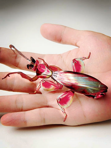 De Orchidee Bidsprinkhaan Metalen Bouwpakket van SlimSpul nederland b.v. is een kleurrijk insectenmodel met realistische details, ideaal voor fans van metalen modelinsecten of DIY modelbouwcreaties.