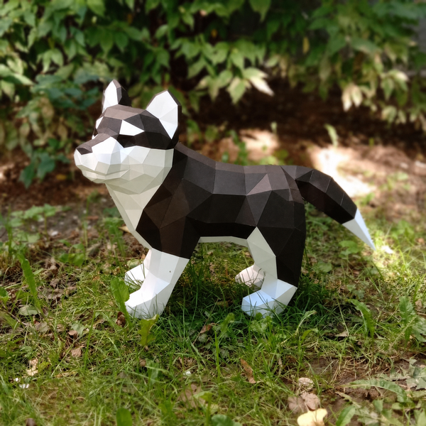 Zwart-witte Husky puppy van papier in het gras gezien vanaf de andere zijde