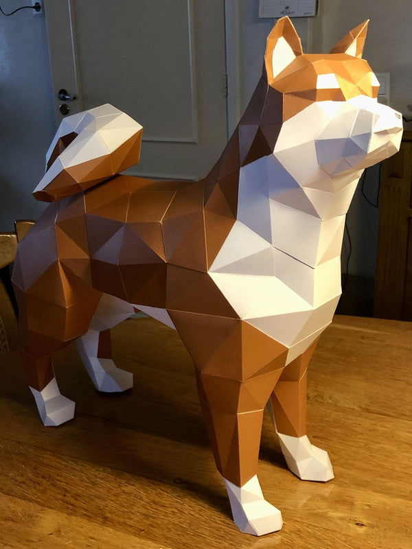 Werkelijk opgebouwd Shiba Inu 3D-papiermodel, klantfoto van geverifieerde koper Luc
