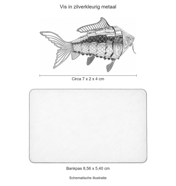 Schematische illustratie van het metalen vismodel, circa 7 cm lang en 4 cm hoog, naast een bankpas van 8,56 bij 5,40 cm