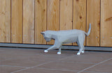 Spelende kat wit of grijs - papier model - SlimSpul nederland b.v.