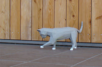 Spelende kat wit of grijs - papier model - SlimSpul nederland b.v.
