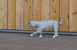 Spelende kat wit of grijs - papier model - SlimSpul nederland b.v.