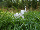 Olifant op rots - papier model - SlimSpul nederland b.v.