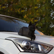 Liggende Kat 3D Papier Model (Diverse Kleuren & Poses) – Relaxed Huisdier
  

  
















      11 beoordelingen