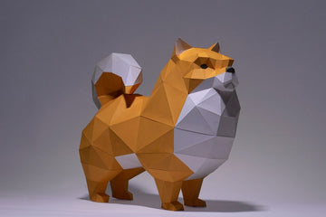 Het SlimSpul nederland b.v. Pomeriaan (Dwerg Keeshond) 3D Papier Model - Pluizig Honden Bouwpakket heeft een oranje en witte hond in origami-stijl met een gekrulde staart en spitse oren, afgebeeld op een neutrale achtergrond.