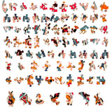 Verspreid liggende stukjes van de Neushoorn Houten Puzzel (A4 formaat) van SlimSpul nederland b.v. laten abstracte, kleurrijke patronen zien op een witte achtergrond, hintend naar het robuuste safari-dier thema van deze figuurpuzzel.